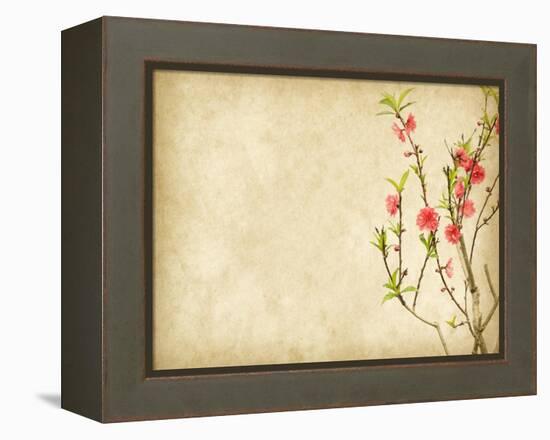 Spring Peach Blossom on Old Antique Vintage Paper Background-kenny001-Framed Stretched Canvas