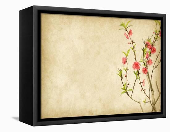 Spring Peach Blossom on Old Antique Vintage Paper Background-kenny001-Framed Stretched Canvas