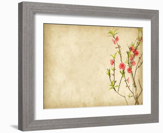 Spring Peach Blossom on Old Antique Vintage Paper Background-kenny001-Framed Art Print