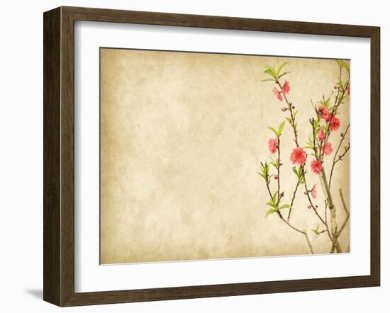 Spring Peach Blossom on Old Antique Vintage Paper Background-kenny001-Framed Art Print