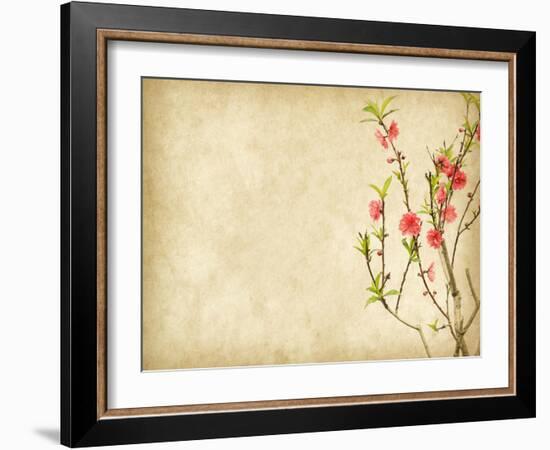 Spring Peach Blossom on Old Antique Vintage Paper Background-kenny001-Framed Art Print