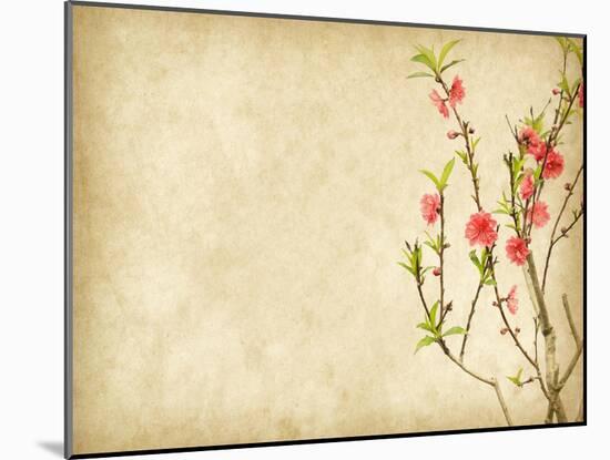 Spring Peach Blossom on Old Antique Vintage Paper Background-kenny001-Mounted Art Print