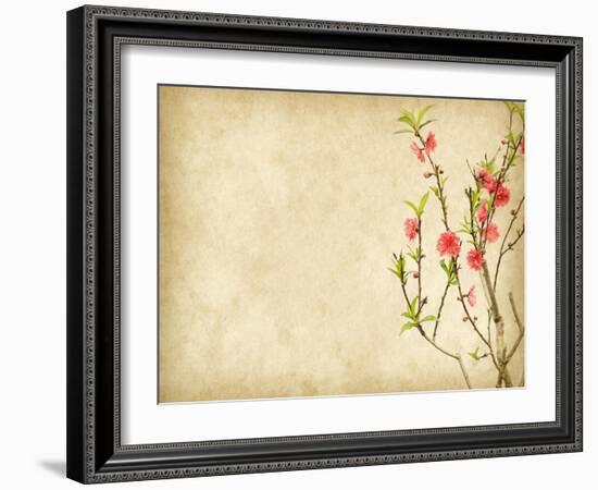 Spring Peach Blossom on Old Antique Vintage Paper Background-kenny001-Framed Art Print