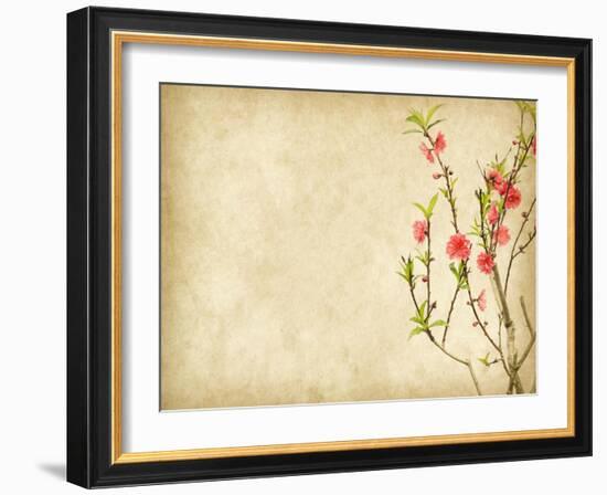 Spring Peach Blossom on Old Antique Vintage Paper Background-kenny001-Framed Art Print