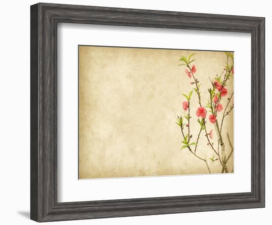 Spring Peach Blossom on Old Antique Vintage Paper Background-kenny001-Framed Art Print