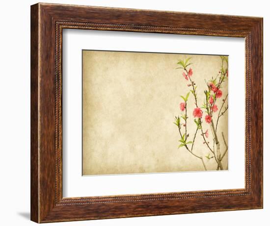 Spring Peach Blossom on Old Antique Vintage Paper Background-kenny001-Framed Art Print