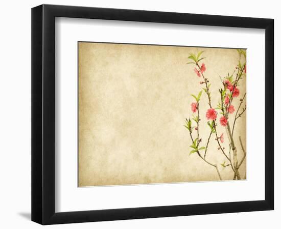 Spring Peach Blossom on Old Antique Vintage Paper Background-kenny001-Framed Art Print