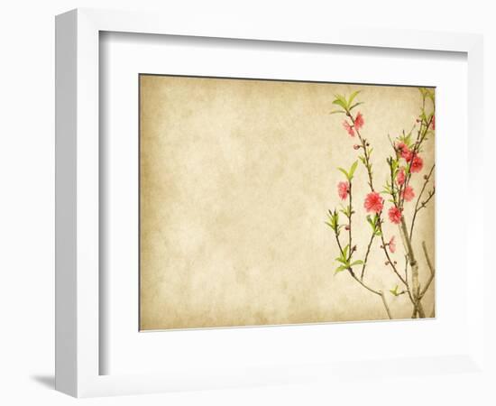 Spring Peach Blossom on Old Antique Vintage Paper Background-kenny001-Framed Art Print