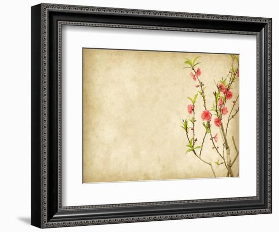 Spring Peach Blossom on Old Antique Vintage Paper Background-kenny001-Framed Art Print