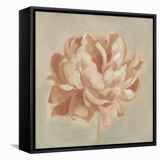 Spring Peony II-Emma Scarvey-Framed Stretched Canvas