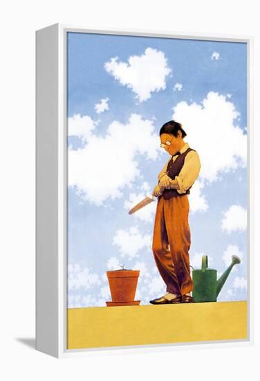 Spring Planting-Maxfield Parrish-Framed Stretched Canvas