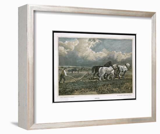 Spring, Ploughing the Field with Three Shire Horses-null-Framed Art Print