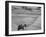 Spring Plowing in de Soto Kansas-Francis Miller-Framed Photographic Print