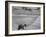 Spring Plowing in de Soto Kansas-Francis Miller-Framed Photographic Print