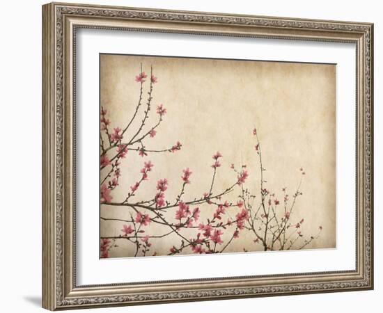 Spring Plum Blossom Blossom on Old Antique Vintage Paper Background-kenny001-Framed Art Print