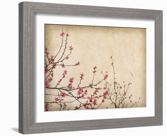 Spring Plum Blossom Blossom on Old Antique Vintage Paper Background-kenny001-Framed Art Print