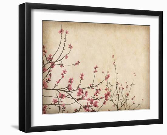 Spring Plum Blossom Blossom on Old Antique Vintage Paper Background-kenny001-Framed Art Print