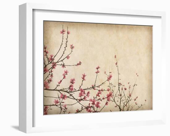 Spring Plum Blossom Blossom on Old Antique Vintage Paper Background-kenny001-Framed Art Print