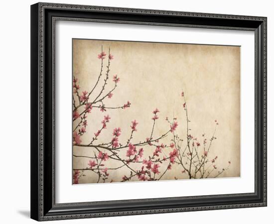 Spring Plum Blossom Blossom on Old Antique Vintage Paper Background-kenny001-Framed Art Print