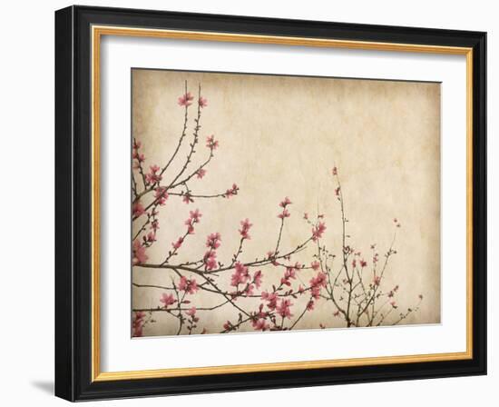 Spring Plum Blossom Blossom on Old Antique Vintage Paper Background-kenny001-Framed Art Print