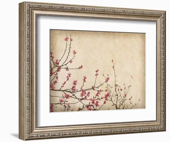 Spring Plum Blossom Blossom on Old Antique Vintage Paper Background-kenny001-Framed Premium Giclee Print