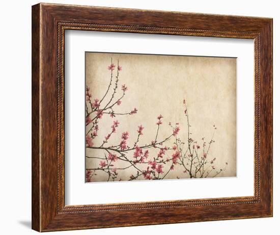 Spring Plum Blossom Blossom on Old Antique Vintage Paper Background-kenny001-Framed Premium Giclee Print