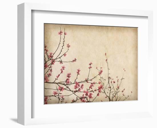 Spring Plum Blossom Blossom on Old Antique Vintage Paper Background-kenny001-Framed Premium Giclee Print