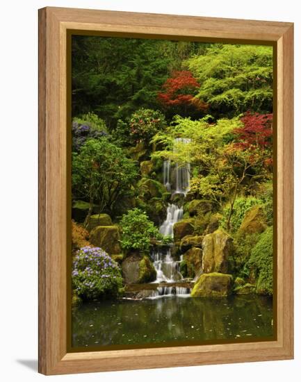 Spring, Portland Japanese Garden, Portland, Oregon, USA-Michel Hersen-Framed Premier Image Canvas