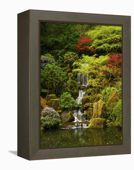 Spring, Portland Japanese Garden, Portland, Oregon, USA-Michel Hersen-Framed Premier Image Canvas