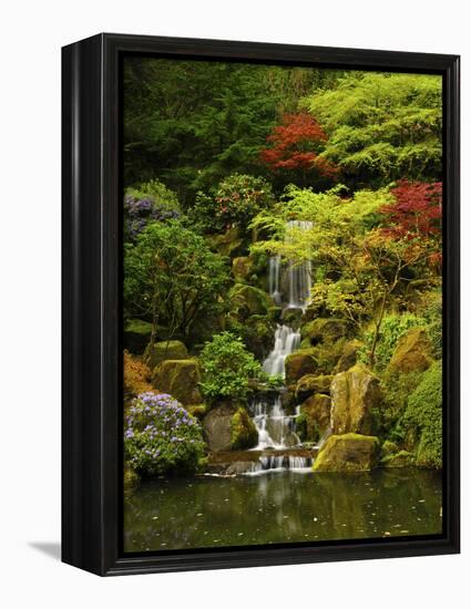 Spring, Portland Japanese Garden, Portland, Oregon, USA-Michel Hersen-Framed Premier Image Canvas