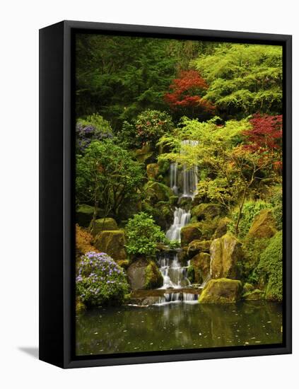 Spring, Portland Japanese Garden, Portland, Oregon, USA-Michel Hersen-Framed Premier Image Canvas