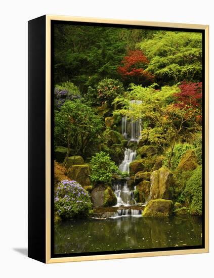 Spring, Portland Japanese Garden, Portland, Oregon, USA-Michel Hersen-Framed Premier Image Canvas