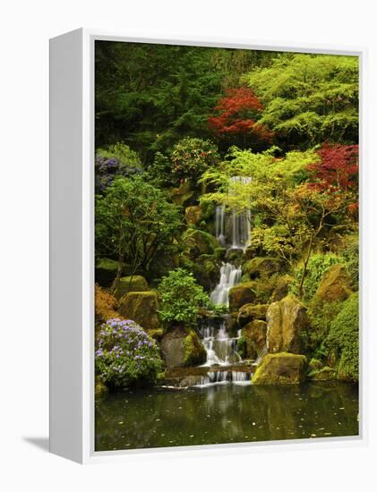 Spring, Portland Japanese Garden, Portland, Oregon, USA-Michel Hersen-Framed Premier Image Canvas