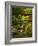 Spring, Portland Japanese Garden, Portland, Oregon, USA-Michel Hersen-Framed Photographic Print