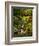 Spring, Portland Japanese Garden, Portland, Oregon, USA-Michel Hersen-Framed Photographic Print