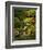 Spring, Portland Japanese Garden, Portland, Oregon, USA-Michel Hersen-Framed Photographic Print