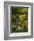 Spring, Portland Japanese Garden, Portland, Oregon, USA-Michel Hersen-Framed Photographic Print