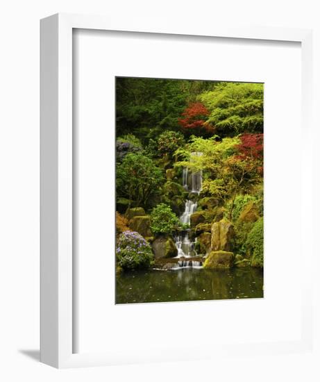 Spring, Portland Japanese Garden, Portland, Oregon, USA-Michel Hersen-Framed Photographic Print