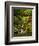 Spring, Portland Japanese Garden, Portland, Oregon, USA-Michel Hersen-Framed Photographic Print