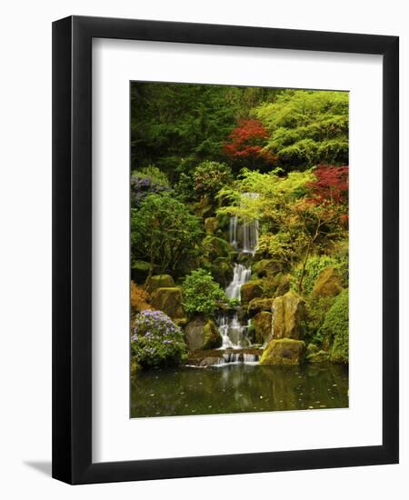 Spring, Portland Japanese Garden, Portland, Oregon, USA-Michel Hersen-Framed Photographic Print