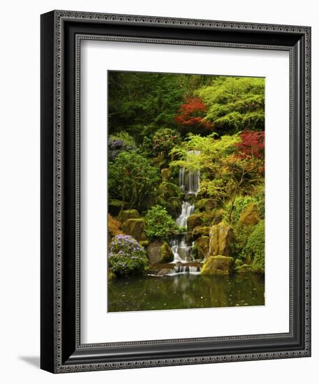 Spring, Portland Japanese Garden, Portland, Oregon, USA-Michel Hersen-Framed Photographic Print