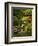 Spring, Portland Japanese Garden, Portland, Oregon, USA-Michel Hersen-Framed Photographic Print