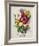 Spring Posy I-Winslow Peachy-Framed Giclee Print