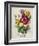 Spring Posy I-Winslow Peachy-Framed Giclee Print