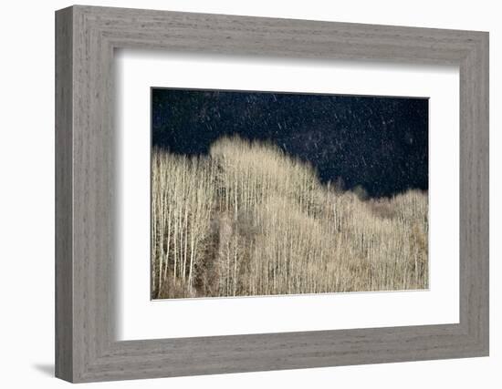 Spring Rain-Ursula Abresch-Framed Photographic Print