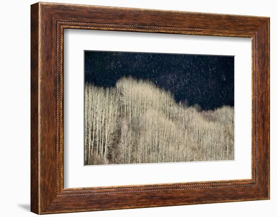 Spring Rain-Ursula Abresch-Framed Photographic Print