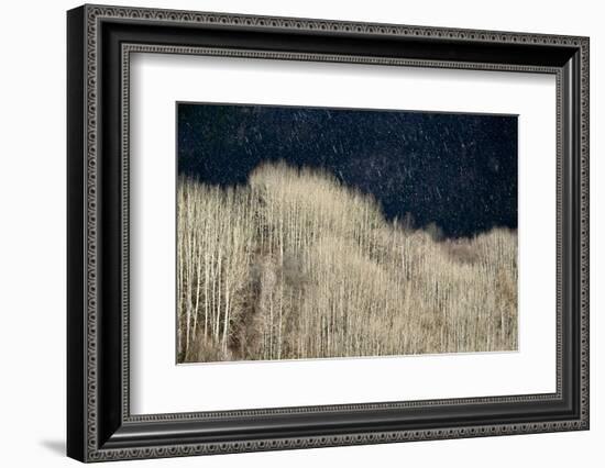 Spring Rain-Ursula Abresch-Framed Photographic Print