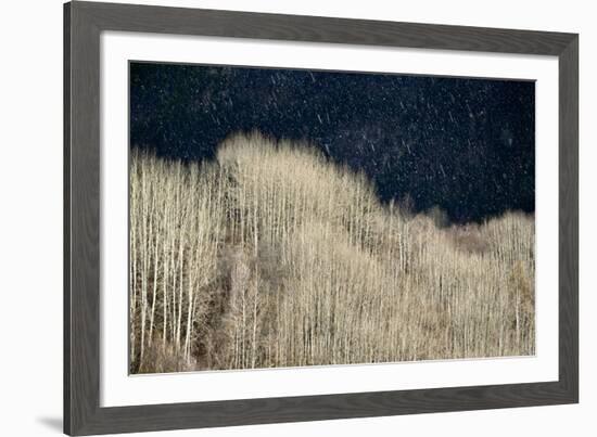 Spring Rain-Ursula Abresch-Framed Photographic Print