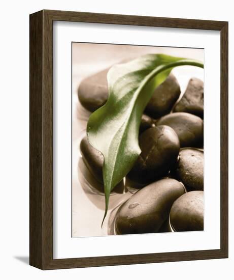 Spring Retreat II-Christine Elizabeth-Framed Art Print