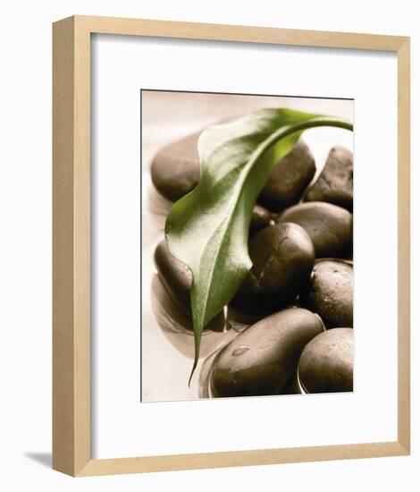 Spring Retreat II-Christine Elizabeth-Framed Art Print